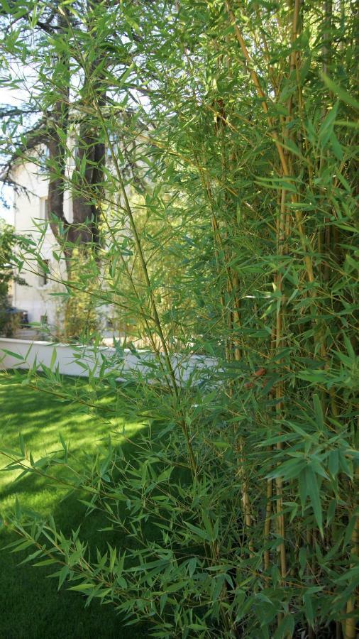 Hotel De Charme L'Oree Du Parc Romans-sur-Isère Eksteriør bilde