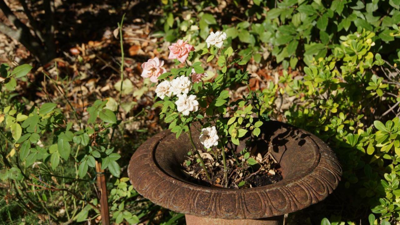 Hotel De Charme L'Oree Du Parc Romans-sur-Isère Eksteriør bilde